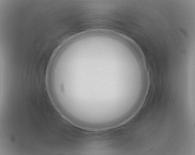 X0000115600701200911100952
