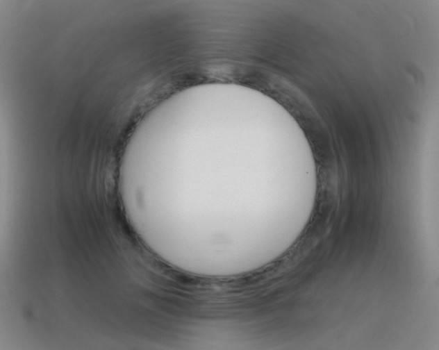 X0000115600702200911100952
