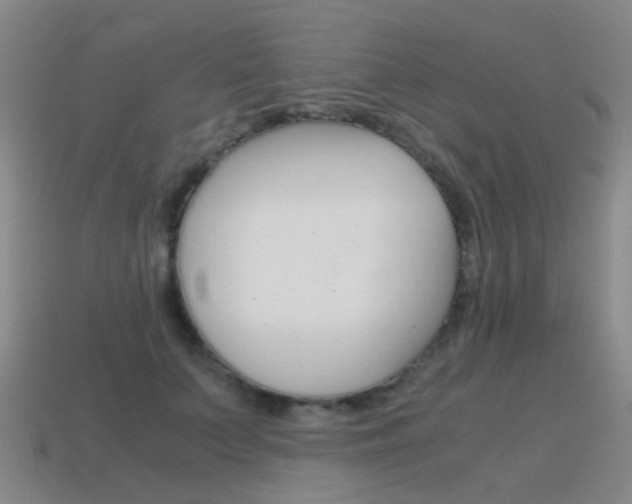X0000115600703200911100952