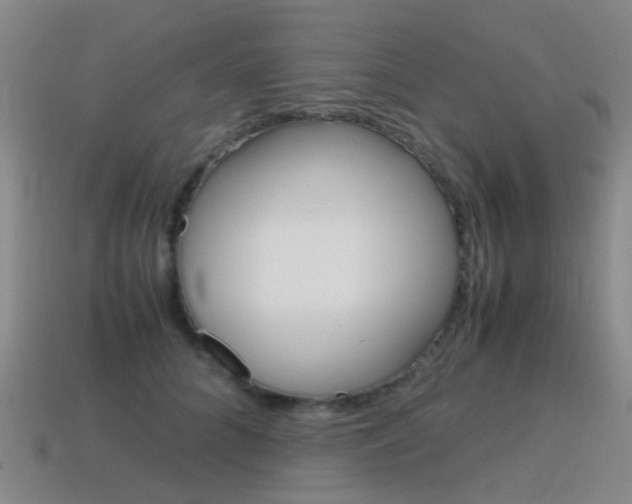 X0000115600704200911100952