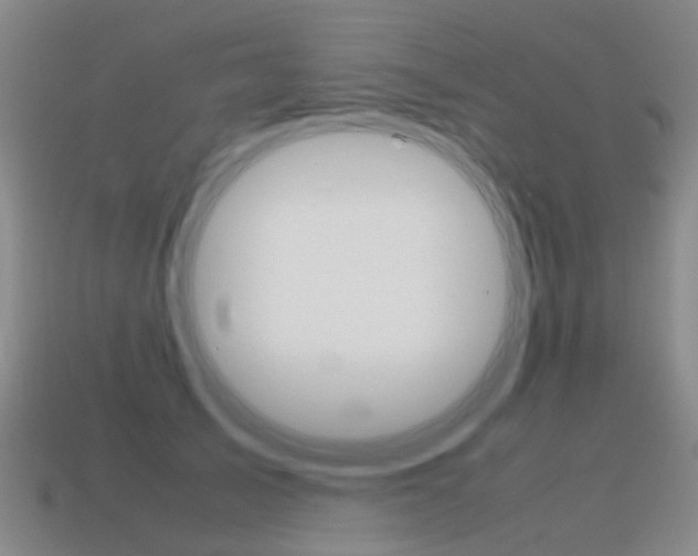 X0000115600705200911100952