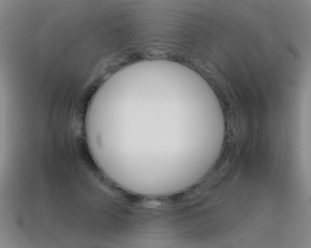X0000115600706200911100952