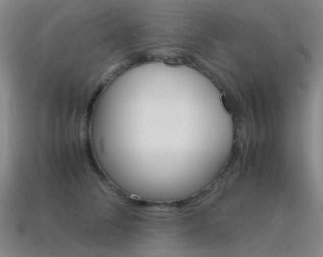 X0000115600708200911100952