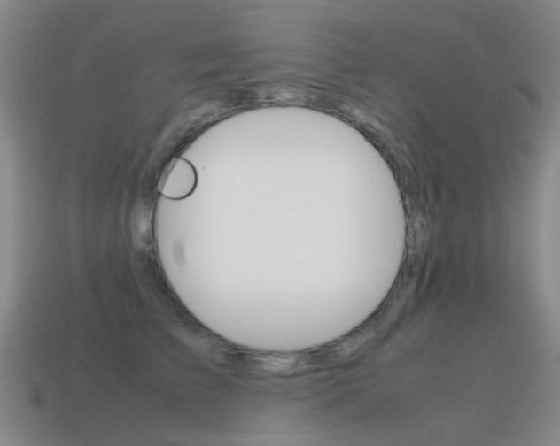 X0000115600709200911100952