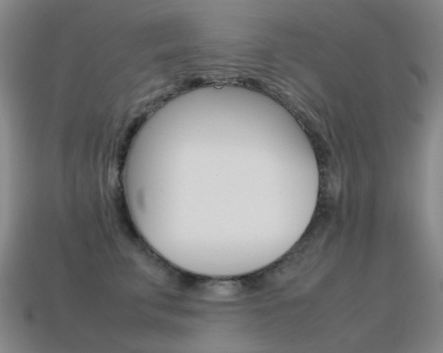 X0000115600711200911100952