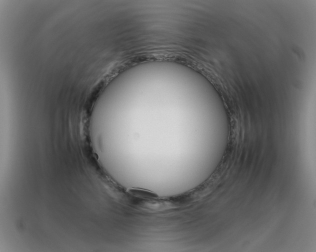 X0000115600712200911100952