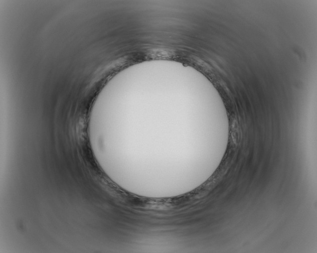 X0000115600714200911100952