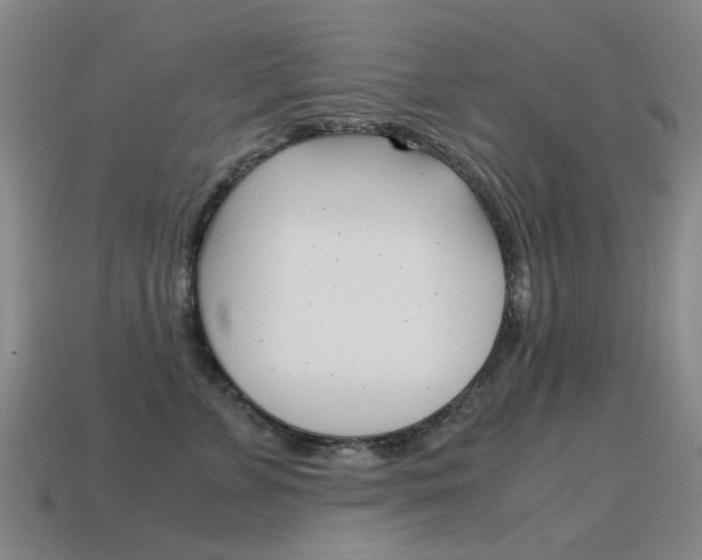 X0000115600715200911100952