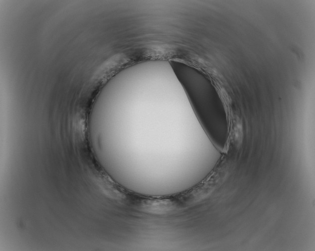 X0000115600716200911100952