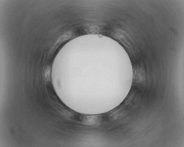 X0000115600717200911100952