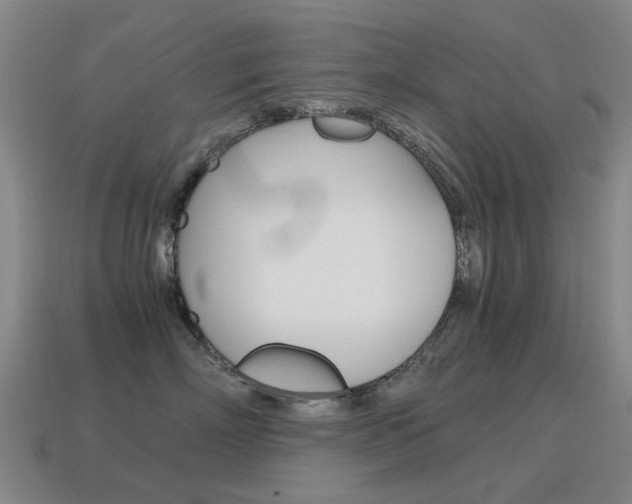X0000115600718200911100952