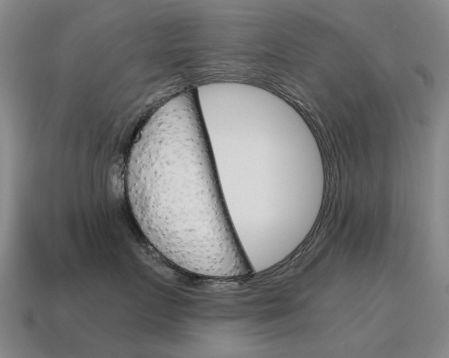 X0000115600719200911100952