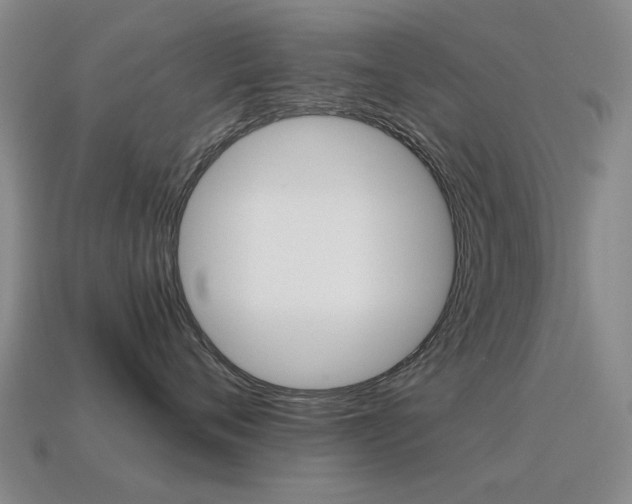 X0000115600720200911100952