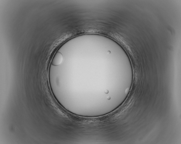 X0000115600721200911100951