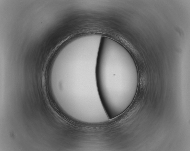X0000115600722200911100951
