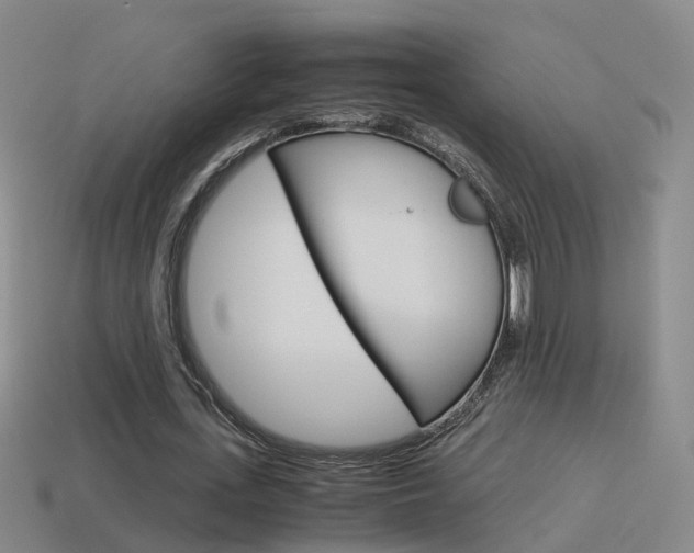 X0000115600723200911100951