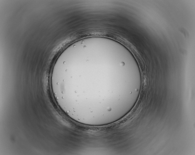 X0000115600725200911100951