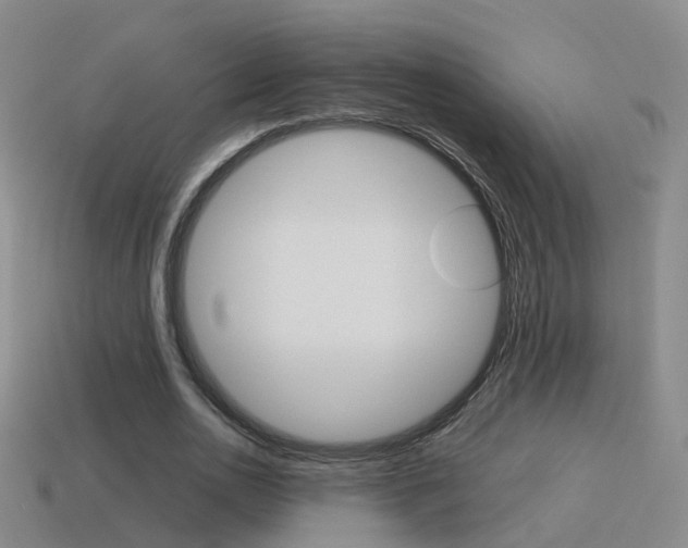 X0000115600726200911100951