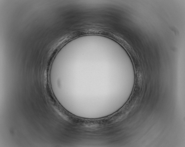 X0000115600729200911100951