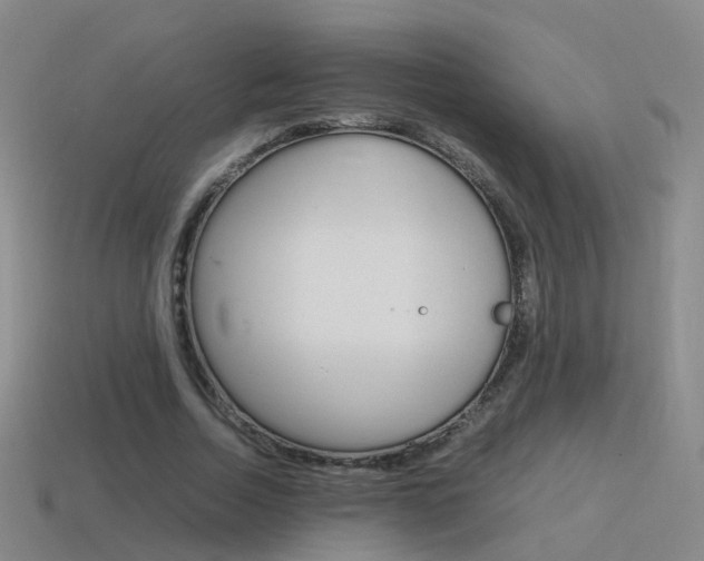 X0000115600730200911100951