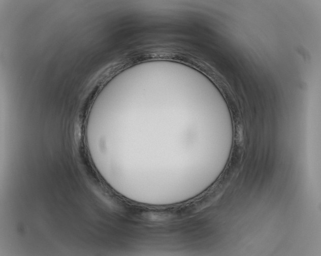 X0000115600733200911100951