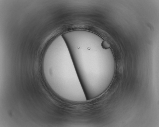 X0000115600735200911100951