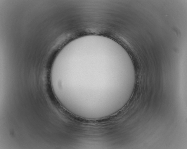 X0000115600738200911100951