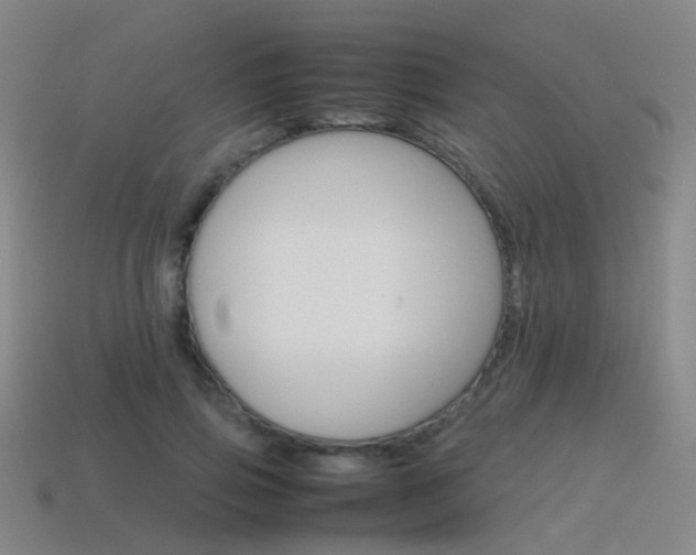 X0000115600741200911100951
