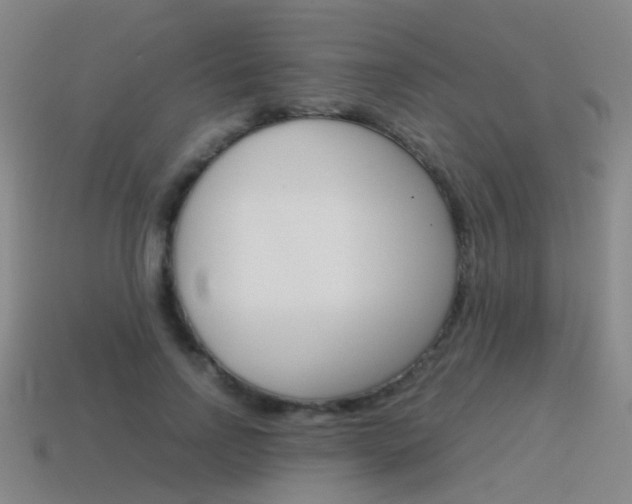 X0000115600742200911100951