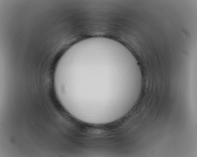 X0000115600743200911100951