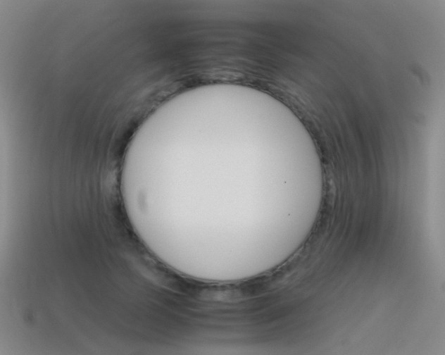 X0000115600745200911100952