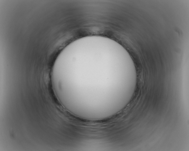 X0000115600746200911100952