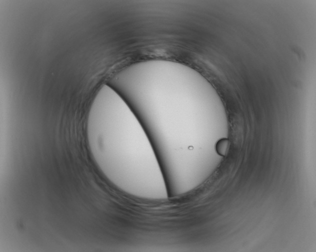 X0000115600747200911100952