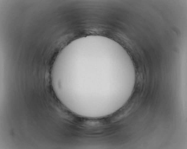 X0000115600749200911100952