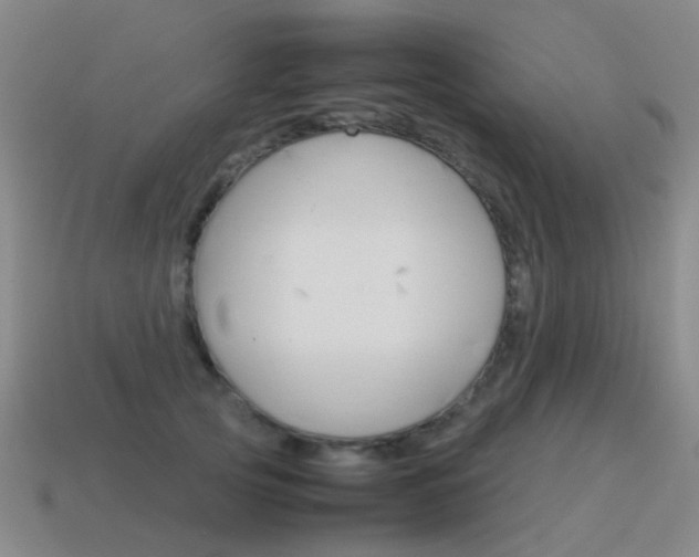 X0000115600753200911100952