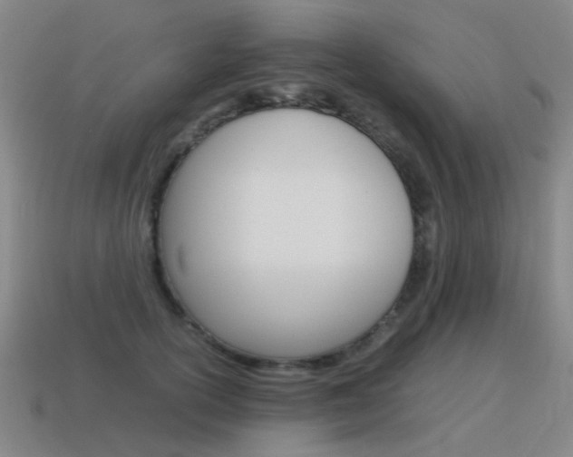 X0000115600754200911100952