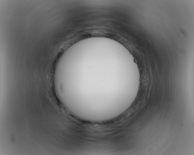 X0000115600755200911100952