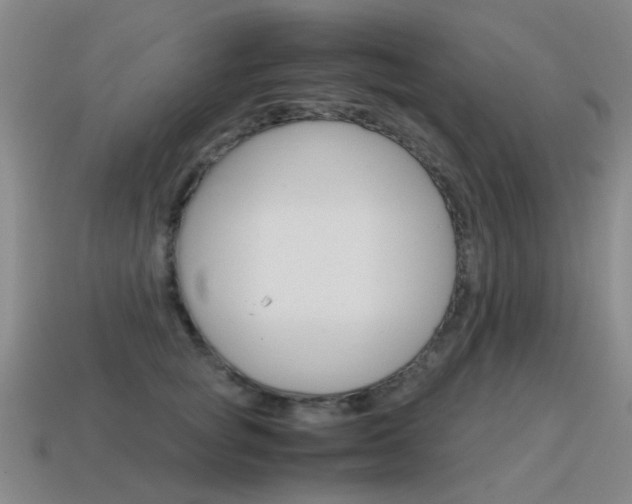 X0000115600757200911100952