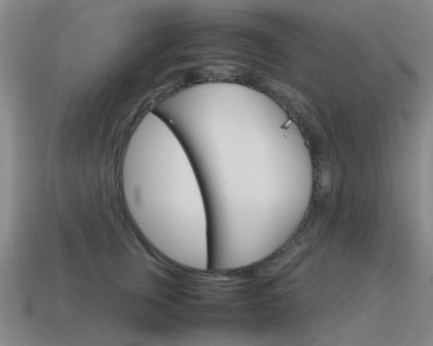 X0000115600759200911100952