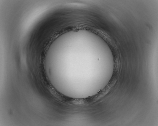 X0000115600762200911100952