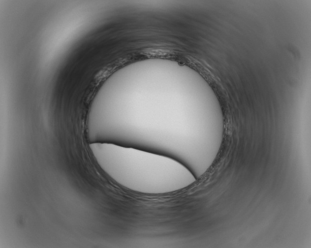 X0000115600763200911100952