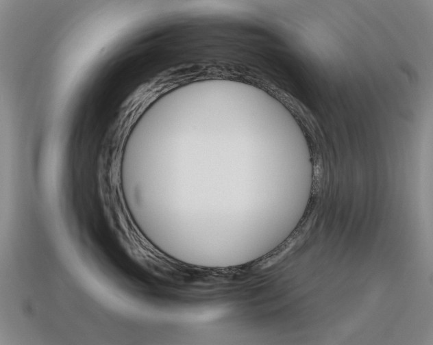 X0000115600765200911100952
