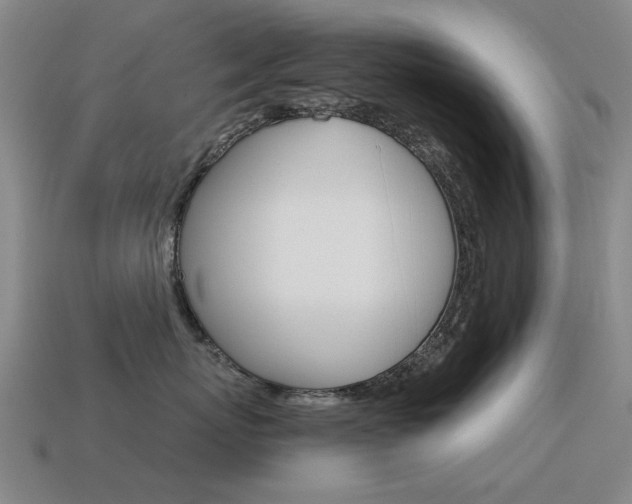X0000115600767200911100952