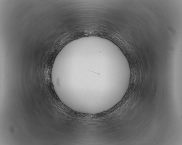 X0000115600770200911100951