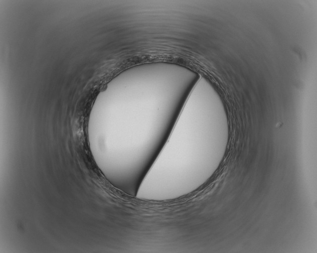 X0000115600771200911100951