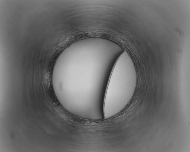 X0000115600772200911100951