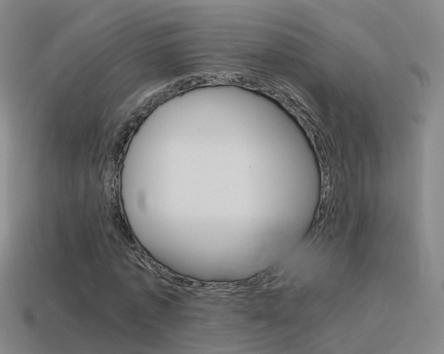 X0000115600773200911100951