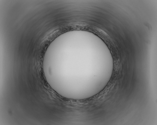 X0000115600774200911100951