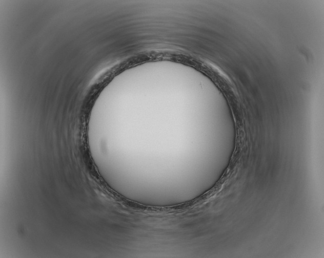 X0000115600775200911100951