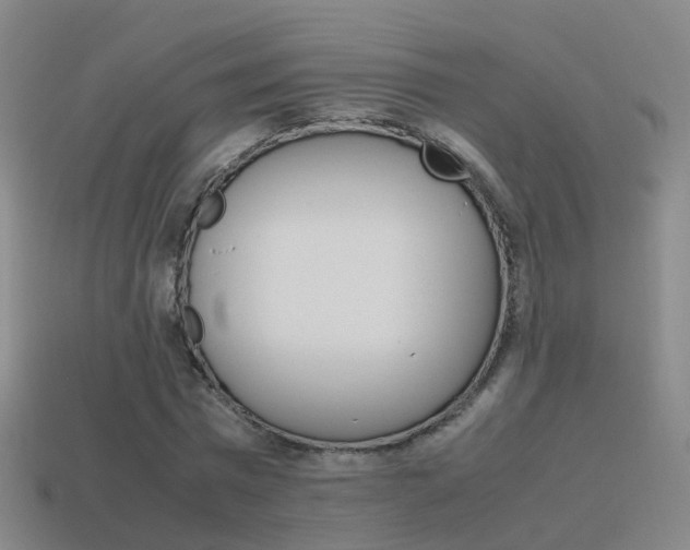 X0000115600777200911100951